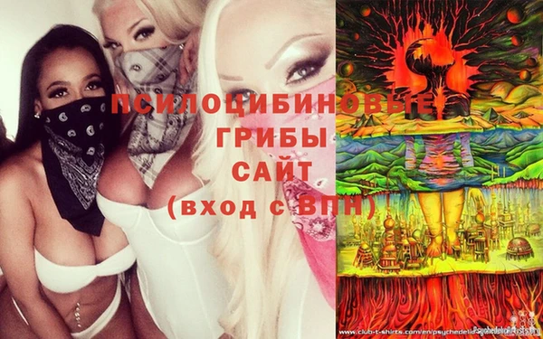 spice Алексеевка