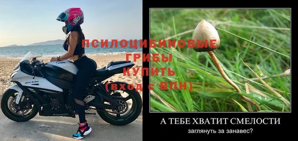 a pvp Алзамай