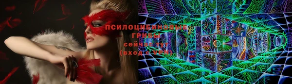 spice Алексеевка