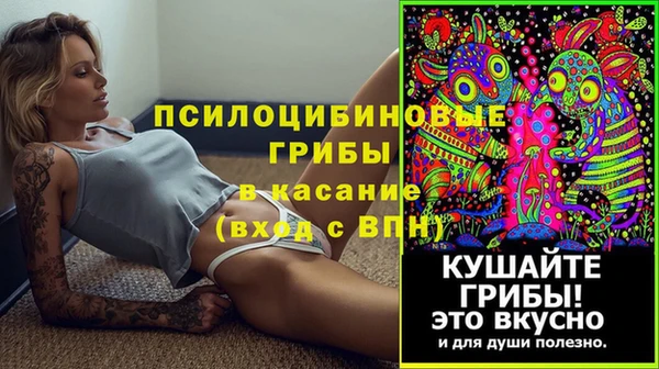 a pvp Алзамай