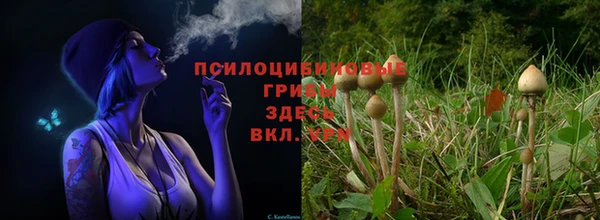a pvp Алзамай