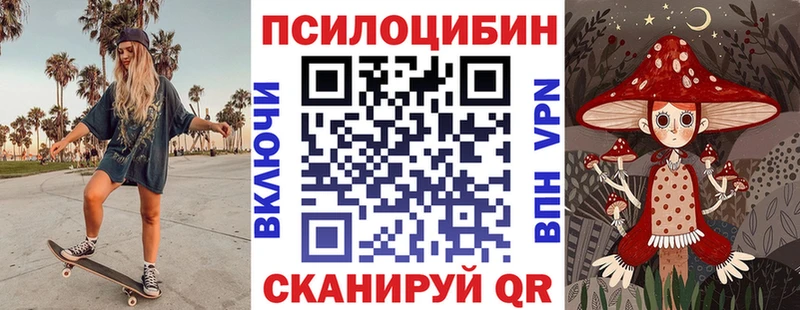 купить закладку  Новоалтайск  Псилоцибиновые грибы мухоморы 